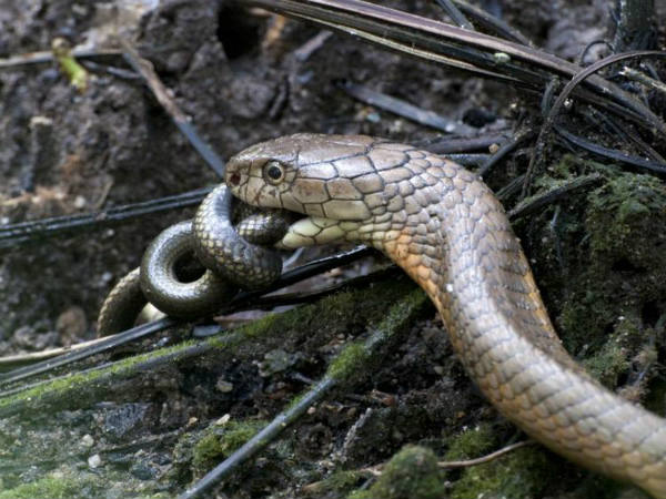 ಮಲೆನಾಡಿನಲ್ಲೊಂದು ಪ್ರವಾಸ