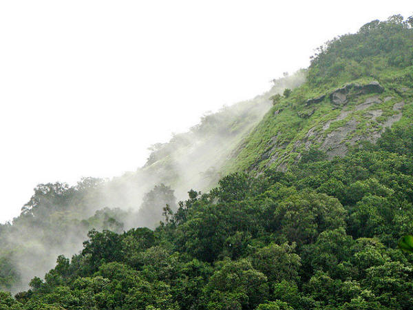 ಮಲೆನಾಡಿನಲ್ಲೊಂದು ಪ್ರವಾಸ