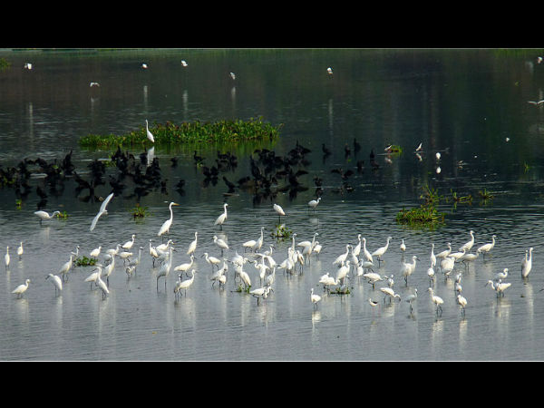 ದ.ಭಾರತದ ಅದ್ಭುತ ಕೆರೆಗಳು: