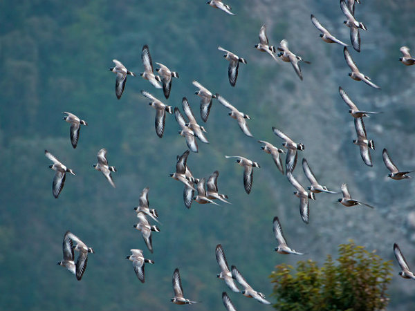 ಮೋಡಿ ಮಾಡುವ ಉತ್ತರಾಖಂಡ: