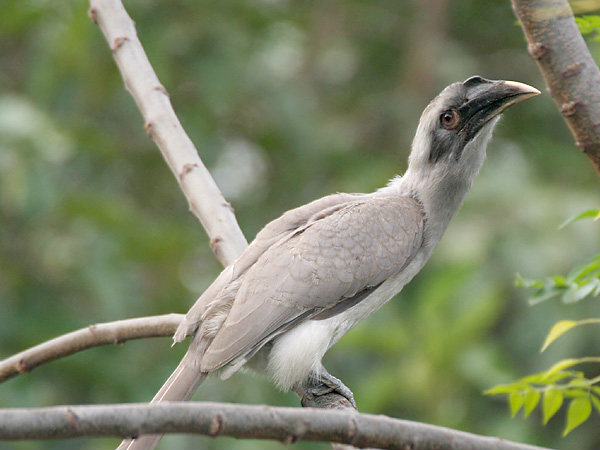 ಮೋಡಿ ಮಾಡುವ ಉತ್ತರಾಖಂಡ: