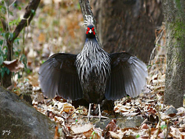 ಮೋಡಿ ಮಾಡುವ ಉತ್ತರಾಖಂಡ: