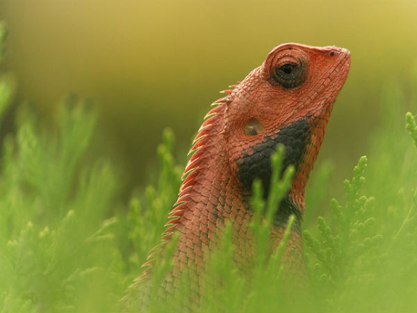 ಮೋಡಿ ಮಾಡುವ ಉತ್ತರಾಖಂಡ: