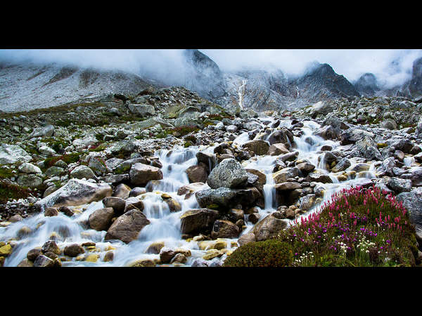 ಸವಾಲೆಸೆಯುವ ಟ್ರೆಕ್ಕುಗಳು: