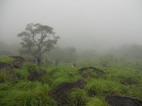 ಕರ್ನಾಟಕದ ಗಿರಿಧಾಮಗಳು: