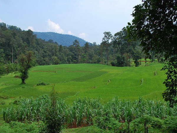 ಕರ್ನಾಟಕದ ಗಿರಿಧಾಮಗಳು: