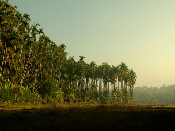 ಕರ್ನಾಟಕದ ಗಿರಿಧಾಮಗಳು: