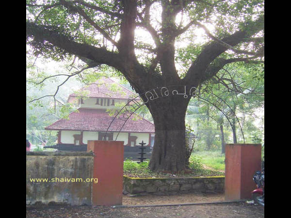 ಪರಶುರಾಮರ 108 ಶಿವಾಲಯಗಳು: