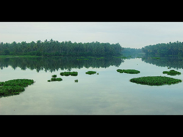 ಕೇರಳದ ಶ್ರೀಮಂತ ಹಿನ್ನೀರು ಪ್ರವಾಸ: