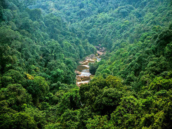 ಏಳು ಸಹೋದರಿಯರೊಡನೆ ಪ್ರವಾಸ: