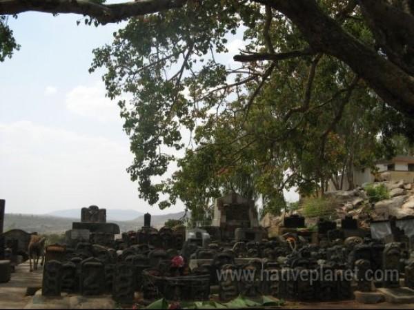 ನಾಗದೋಷ ನಿವಾರಣಾ ಕ್ಷೇತ್ರಗಳು: