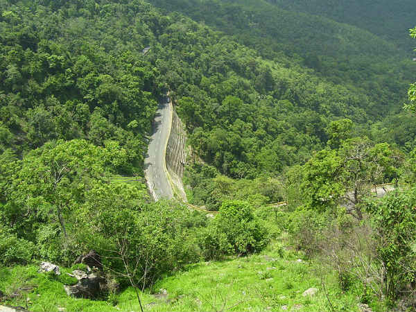 ಕೇರಳದ ಘಾಟ್ ರಸ್ತೆಗಳು: