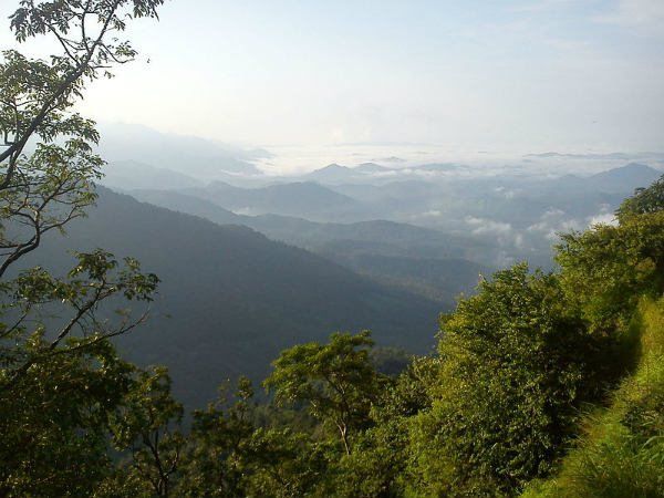 ಕೇರಳದ ಘಾಟ್ ರಸ್ತೆಗಳು: