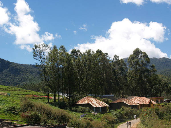 ಕೇರಳದ ಕಳೆ ಹೊತ್ತ ಗಿರಿಧಾಮಗಳು: 