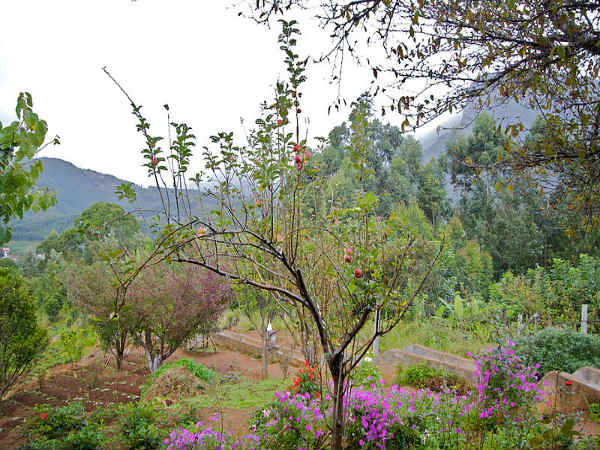 ಕೇರಳದ ಕಳೆ ಹೊತ್ತ ಗಿರಿಧಾಮಗಳು: 