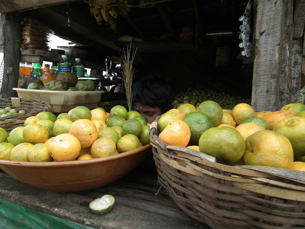ಕೇರಳದ ಕಳೆ ಹೊತ್ತ ಗಿರಿಧಾಮಗಳು: 