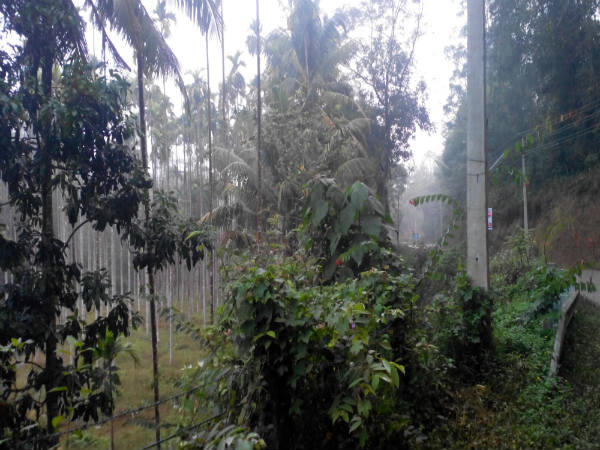 ಧರ್ಮಸ್ಥಳ ಹಾಗೂ ಶ್ರೀಕ್ಷೇತ್ರ ಕುಕ್ಕೆ: