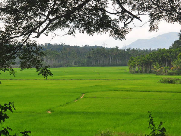 ನಂಜನಗೂಡಿನಿಂದ ನೀಲಂಬೂರು: