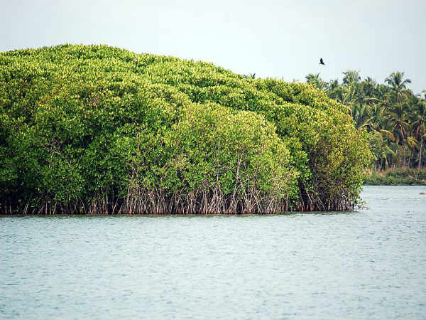 ಕೇರಳದ ದ್ವೀಪಗಳು: