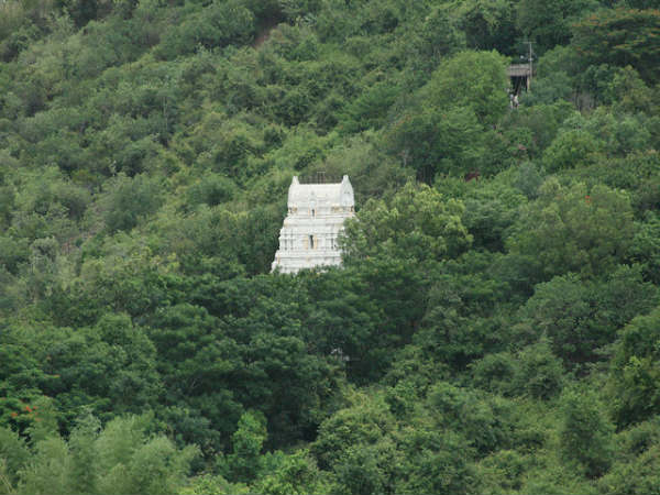 ತಿರುಪತಿ-ತಿರುಮಲ: ತಿರುಪತಿ-ತಿರುಮಲ: