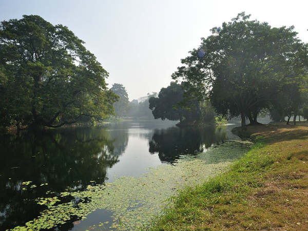 ನಯನಮನೋಹರ ಸಸ್ಯೋದ್ಯಾನಗಳು: