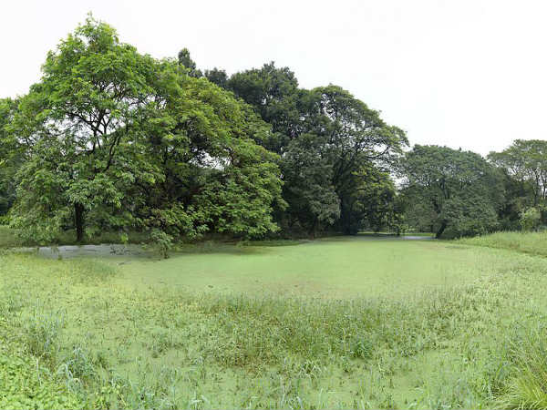 ನಯನಮನೋಹರ ಸಸ್ಯೋದ್ಯಾನಗಳು: