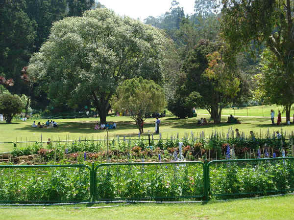 ನಯನಮನೋಹರ ಸಸ್ಯೋದ್ಯಾನಗಳು: