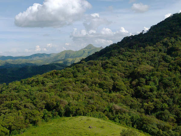 ಮಾದಕ ಬೆಟ್ಟಗುಡ್ಡಗಳು: