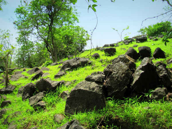 ಕುತೂಹಲ ಹುಟ್ಟಿಸುವ ದೇವಾಲಯಗಳು: