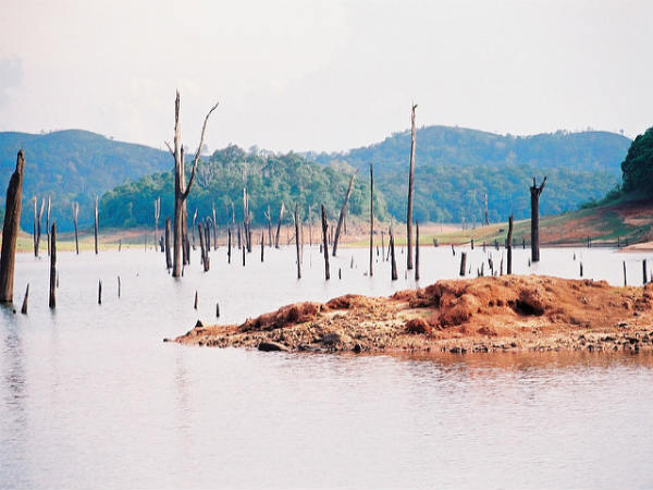 ಮೋಡಿ ಮಾಡುವ ತೆಕ್ಕಡಿ: