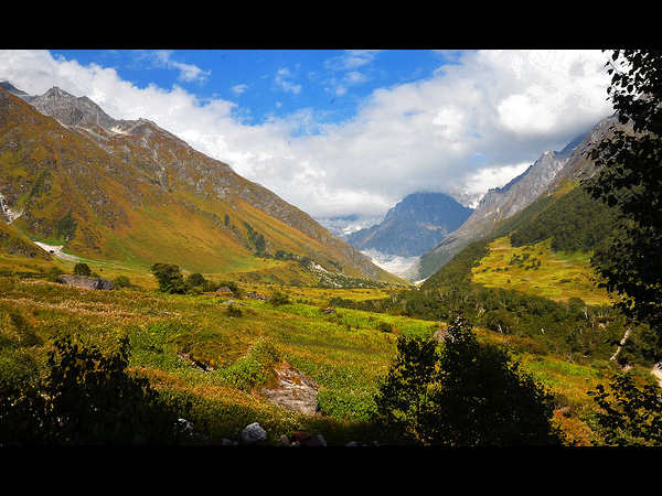 ಪುಷ್ಪಕಣಿವೆ ರಾಷ್ಟ್ರೀಯ ಉದ್ಯಾನ: