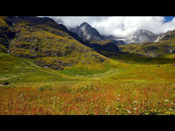 ಪುಷ್ಪಕಣಿವೆ ರಾಷ್ಟ್ರೀಯ ಉದ್ಯಾನ: