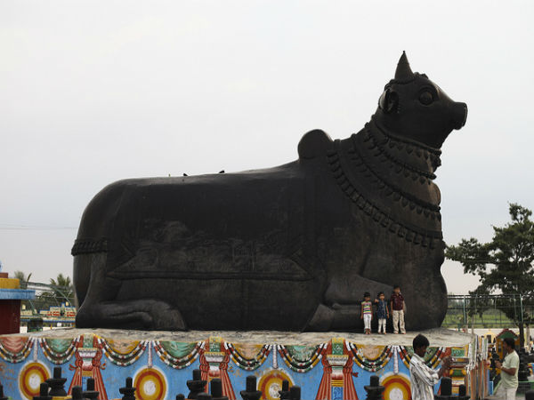 ಲಕ್ಷ ಲಕ್ಷ ಶಿವಲಿಂಗಗಳ ಕೋಟಿಲಿಂಗೇಶ್ವರ