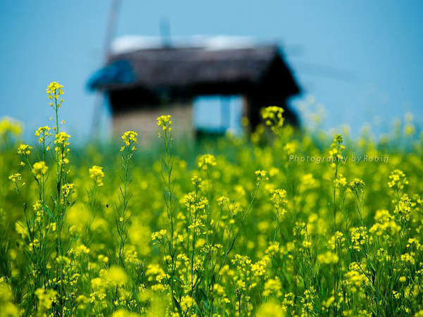 ಮಾಟ,ಮಂತ್ರ ಶಕ್ತಿಗಳ ತವರು ಮಯಾಂಗ್ 