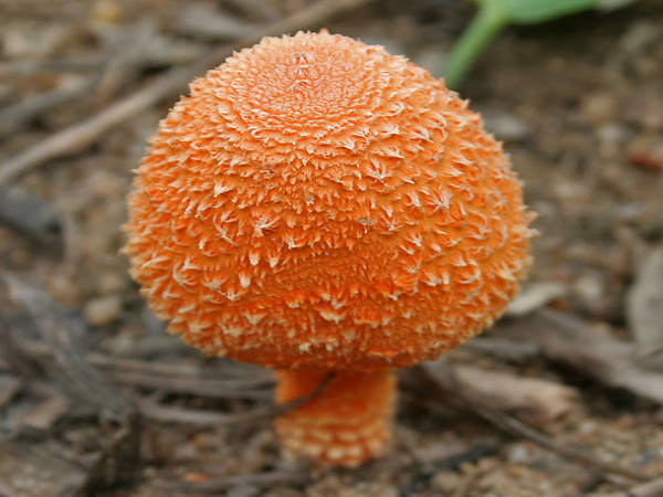 ಆಂಧ್ರದ ಸುಂದರ ಜಲಪಾತಗಳು: