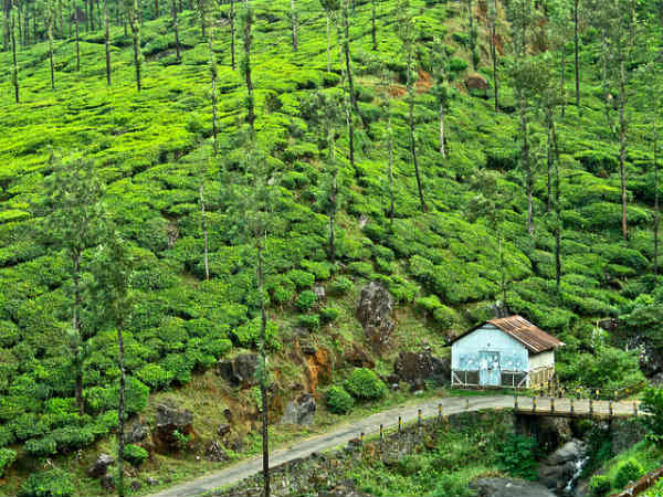 ದ.ಭಾರತದ 25 ಅತುತ್ತಮ ಮಳೆಗಾಲ ಸ್ಥಳಗಳು