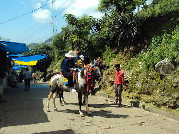 ಕರುಣಾಮಯಿ ವೈಷ್ಣೊ ದೇವಿ ಸನ್ನಿಧಾನ: 