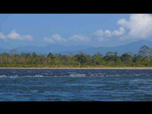 ಹುಲಿಗಳಿರುವ ಅದ್ಭುತ ಕಾಡುಗಳು: