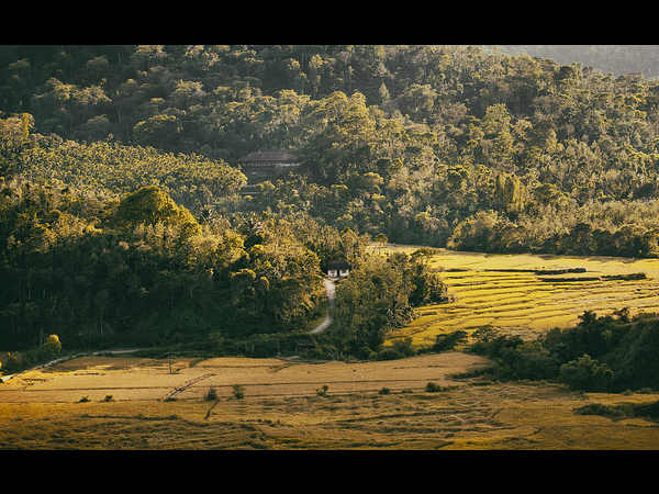 ಅನ್ನಪೂರ್ಣೆಯ ದೇವಾಲಯ, ಮಹಿಮೆ ಗೊತ್ತೆ?