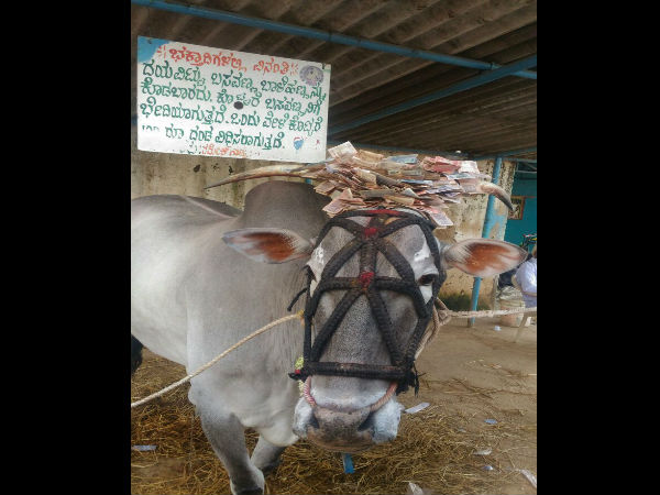 ಇಷ್ಟಾರ್ಥಗಳನ್ನು ಈಡೇರಿಸುವ ಕಬ್ಬಾಳಮ್ಮ