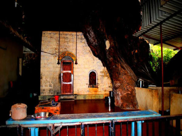 ಮನಸ್ಸು ಪ್ರಸನ್ನಗೊಳಿಸುವ ಅಪ್ಸರಕೊಂಡ: ಮನಸ್ಸು ಪ್ರಸನ್ನಗೊಳಿಸುವ ಅಪ್ಸರಕೊಂಡ: