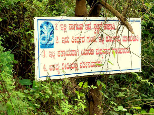 ಮನಸ್ಸು ಪ್ರಸನ್ನಗೊಳಿಸುವ ಅಪ್ಸರಕೊಂಡ: ಮನಸ್ಸು ಪ್ರಸನ್ನಗೊಳಿಸುವ ಅಪ್ಸರಕೊಂಡ: