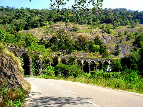 ಕಣ್ಮನ ಸೆಳೆವ ತೆನ್ಮಲ: