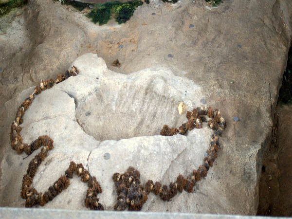 ಪಾಜಕ ಶ್ರೀಕ್ಷೇತ್ರ: 