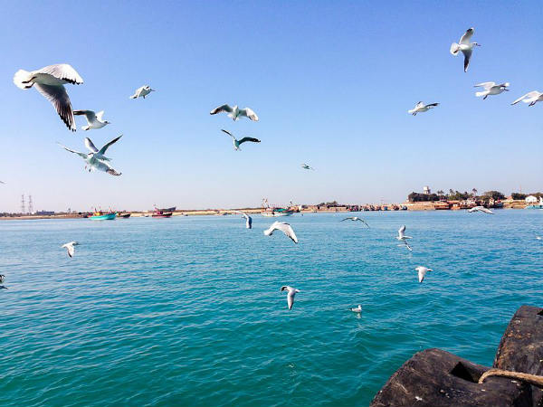 ಶಂಖೋಧರ : ಇದೆ ಶ್ರೀಕೃಷ್ಣನ ಮೂಲ ಸಾಮ್ರಾಜ್ಯ!