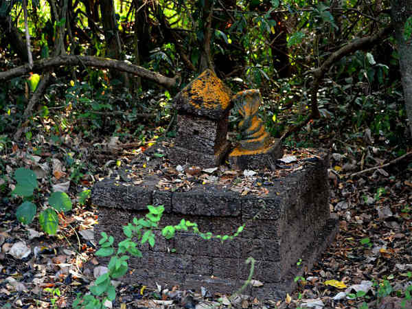 ಪರಶುರಾಮರಿಗೆ ಒಲಿದು ನೆಲೆಸಿದ ನಾಗರಾಜಸ್ವಾಮಿ