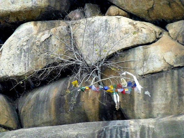 ಅಧ್ಯನಕಾರರ ನೆಚ್ಚಿನ