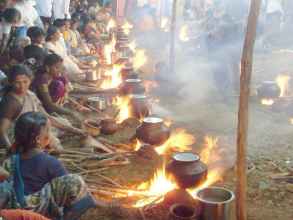 ಪೊಂಗಲ್