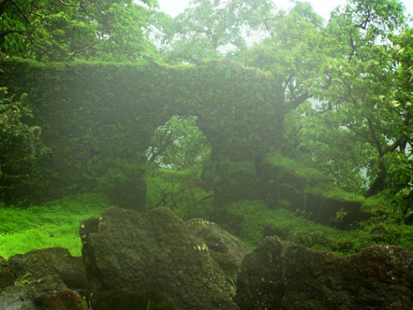 ಎಲ್ಲೆಡೆ