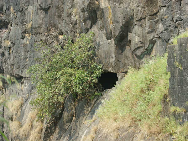 ವಿಶ್ರಾಂತಿ